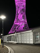 Der neue Hexenbesen (Foto: H.-G. F.)